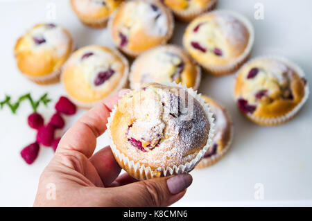 Fatti in casa muffin ai lamponi in titolari della carta Foto Stock