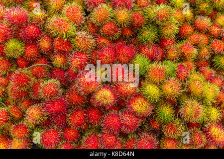 Mature rambutan popolare dolce succosa frutta tropicale ricca di vitamina in Asia che serve come cibo sano. Foto Stock