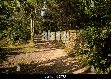 I percorsi a Bingley St Ives station wagon, ad indurire, Bingley, Nr Bradford, Yorkshire, Regno Unito Foto Stock