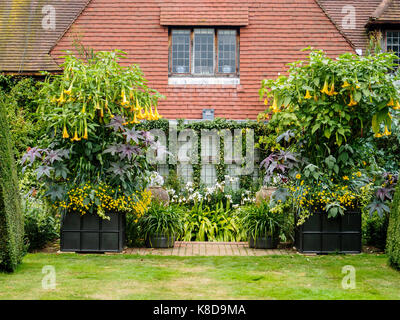 La Old Vicarage giardino in Oriente Ruston, Norfolk, Regno Unito sono una attrazione turistica molto rinomata e sono state create da Alan grigio e il suo partner Foto Stock