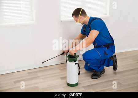 Vista laterale del lavoratore di sesso maschile la spruzzatura di pesticidi sulla parete di casa Foto Stock