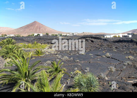 Cono vulcanico e i flussi di lava villaggio di Tahiche, Lanzarote, Isole Canarie, Spagna Foto Stock