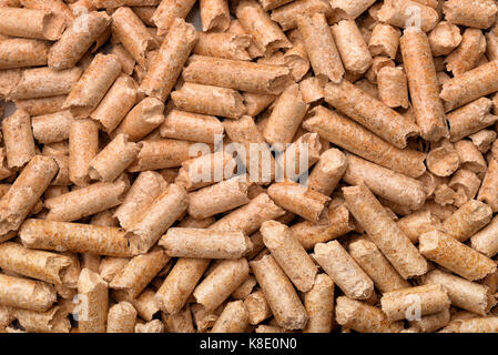 Close up dei pellet di legno sfondo Foto Stock