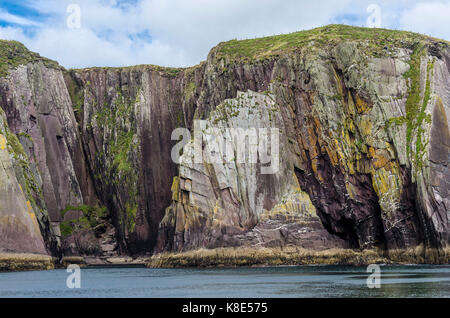 Irlanda, scogliere della Steilk?ste con Dingle, Irland, Klippen der Steilküste bei Dingle Foto Stock