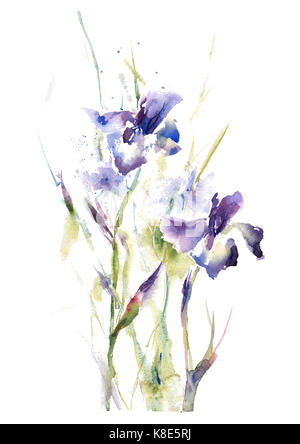 Raccolta a mano ad acquerello disegno estate iris bouquet di fiori Foto Stock