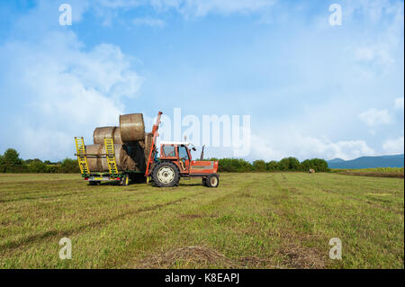 Scena agricoli. Il trattore è la raccolta di balle di fieno in campo e carico sul carro di fattoria. Foto Stock