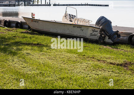 Barche danneggiato dall uragano Irma in Tavares, Florida Foto Stock