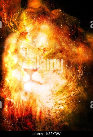 Lion in spazio cosmico. lion foto e effetto grafico. Foto Stock