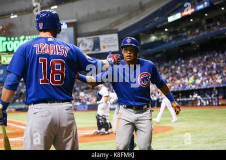 San Pietroburgo, Florida, Stati Uniti d'America. Xix Sep, 2017. Sarà VRAGOVIC | Orari.Chicago Cubs shorstop Addison Russell (27) battendo il cinque secondo baseman Ben Zobrist (18) dopo il punteggio sul doppio da secondo baseman Javier Baez (9) Nella quinta inning di gioco tra il Chicago Cubs e il Tampa Bay Rays a Tropicana in Campo San Pietroburgo, Fla. Martedì, Settembre 19, 2017. Credito: Sarà Vragovic/Tampa Bay volte/ZUMA filo/Alamy Live News Foto Stock