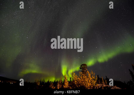 Yellowknife, Canada. Xix Sep, 2017. incredibile aurora può essere visto in yellowknife, Canada, Settembre 19th, 2017. Un'aurora, talvolta indicato come un luci polari o Northern Lights è una luce naturale visualizzare nella terra del cielo, prevalentemente visto in alta latitudine (artico e Antartide) regioni. Credito: sipa asia/zuma filo/alamy live news Foto Stock