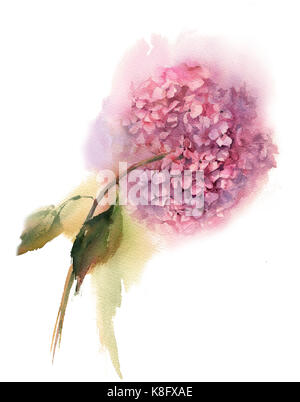 Raccolta a mano ad acquerello disegno estate iris bouquet di fiori Foto Stock