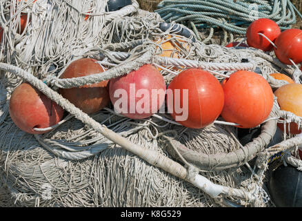 La pesca boa, net e corda Foto Stock