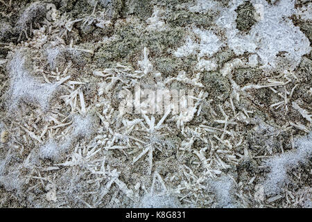 Primo piano immagine del sale essiccato a tso kar Salt Lake in ladakh, India Foto Stock