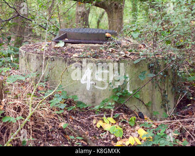 Close up numerati bunker di guerra bloccato foresta superiore Foto Stock