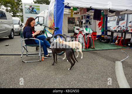 Cani al Manx Grand Prix dietro le quinte Foto Stock