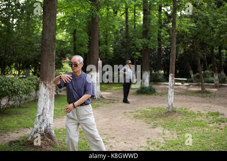 Attività sportive uomo cinese practice Tai Chi nel parco la Cina Foto Stock