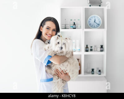 Bella sorridente medico veterinario azienda simpatico cane bianco. Pet care Foto Stock