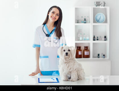 Bella sorridente medico veterinario e simpatico cane bianco in clinica veterinaria. Pet care Foto Stock