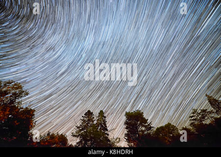 Via lattea stelle lungo sentieri intorno a north star su alberi sagome evidenziando in primo piano di rotazione della terra Foto Stock