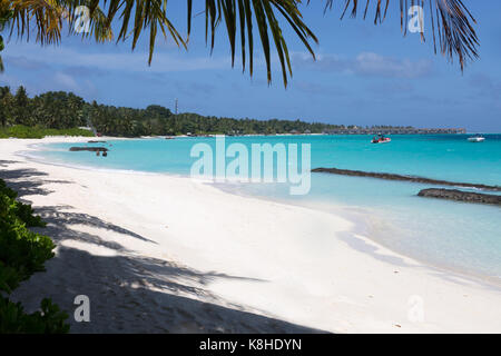 Maldive spiaggia - la spiaggia di sabbia bianca all'Atollo di Rasdhoo, Maldive, Asia Foto Stock