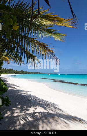 Maldive - bella spiaggia tropicale con palme, sabbia e cielo blu; Kuramathi Island Resort, Kuramathi, Maldive, Oceano Indiano, Asia Foto Stock