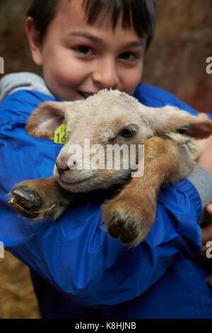 Ragazzo che porta un agnello, francia. Foto Stock