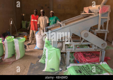 Lavorazione riso e confezionamento. senegal. Foto Stock