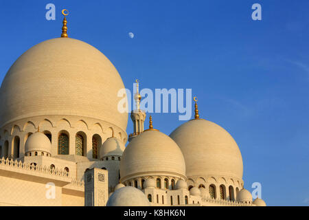 Cupola principale. moschea sheikh zayed. 1995. emirato di abu dhabi. Foto Stock