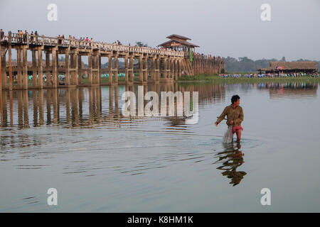 La birmania, myanmar, Amarapura: pescatore vicino alla U Bein ponte che attraversa il lago Taungthaman Foto Stock