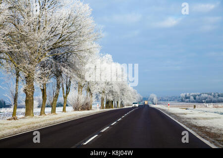 Vetture su strada in un paesaggio wintery con alberi smerigliato Foto Stock