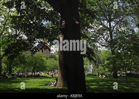 New york, ny, Stati Uniti d'America - 1 giugno 2017: ragazza gode seduto sotto un albero di ombra in una giornata di sole in Washington Square Park Foto Stock