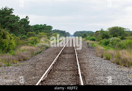 Binari del treno in Eastern long island guardando ad ovest e sparendo all'orizzonte Foto Stock
