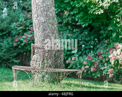 Banco di metallo intorno a un albero maturo su un giorno di estate in Eastern long Island, NY Foto Stock