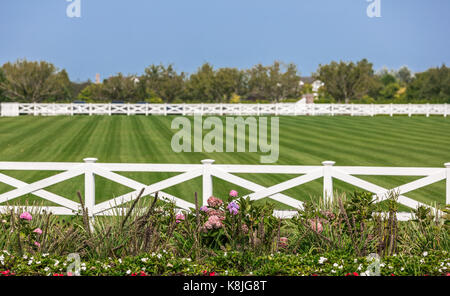 Horse Farm in bridgehampton, NY Foto Stock