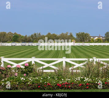 Horse Farm in bridgehampton, NY Foto Stock