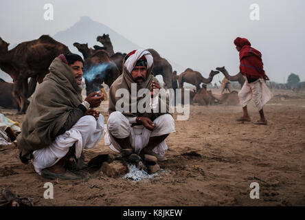 Pushkar, India - circa novembre 2016: camel herders fumare la mattina presto in pushkar camel fair grounds. Si tratta di uno dei più grandi del mondo camel fa Foto Stock
