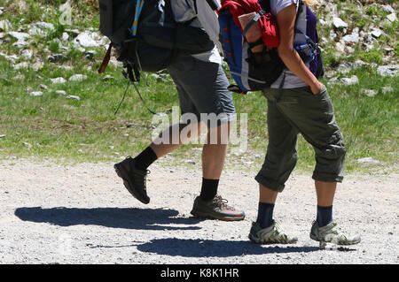 Le alpi francesi. mont blanc massif. walkers su un percorso al di sopra della valle di Chamonix, Francia. Foto Stock