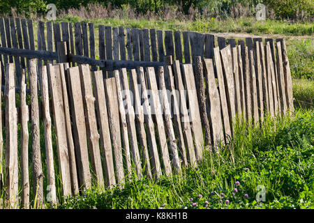 Un vecchio recinto, fatta di tavole di legno, avente un sacco di difetti. close-up foto di un'erba in crescita nei pressi di una recinzione Foto Stock