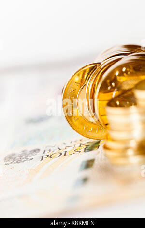 Lucidare le banconote e le monete in euro fotografato close-up. Mostrato i dettagli del denaro con designazione internazionale - PLN. Profondità di campo, foto scattata fro Foto Stock