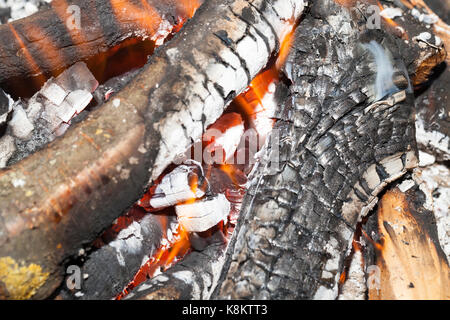 La combustione di legna da ardere, di rami di legno di betulla nel fuoco. vi è una fiamma di fuoco. fotografato close-up. Foto Stock