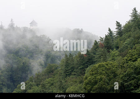 Karlovy Vary Repubblica ceca - agosto 16, 2017:foresta con nebbia con la torre di diana sovrastante la città sullo sfondo Foto Stock
