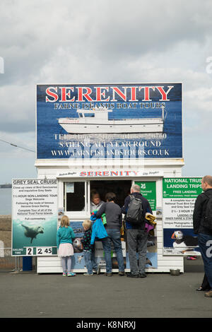 Farne isola gita in barca ufficio booking al porto Seahouses, Northumberland, Inghilterra Foto Stock