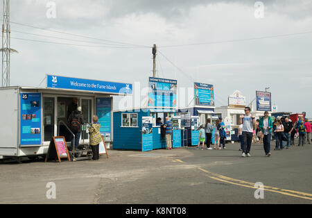 Farne isola gita in barca gli uffici di prenotazione in Seahouses Harbour, Northumberland, Inghilterra Foto Stock