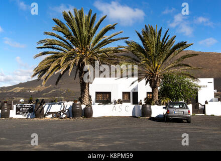 Bodega in La Geria vigna area vinicola, Lanzarote, Isole Canarie, Spagna Foto Stock