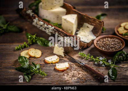 Ancora la vita di formaggio con semi di cumino sulla corteccia Foto Stock