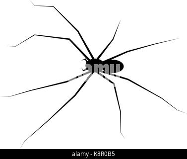 Spider black widow silhouette vettore icona simbolo di design. Bella illustrazione isolati su sfondo bianco Illustrazione Vettoriale