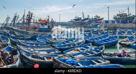Molti in legno di colore blu barche da pesca ancorate nel porto storico di città medievale Essaouira, Marocco, Africa del nord. Foto Stock