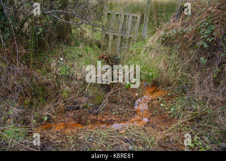 Arancione trasudamento di fango da un campo, chipping, lancashire. il fango arancione e la lanugine è prodotta da un gruppo di batteri che utilizzano il ferro come un aspro di energia Foto Stock