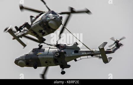 Royal Navy Lynx HMA8 Foto Stock