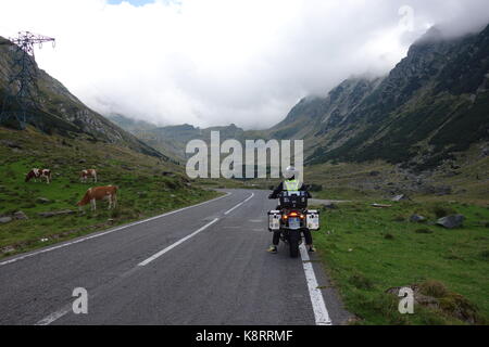 Biker uomo alla guida di un rosso bmw gs r 1200 avventura in Transilvania regione sulla strada transfagarasan. romania. agosto 2017 Foto Stock